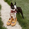 image:imageVIVAIA Audrey Embroidered Loafers RoundToe Smart Casual Comfortable Slip OnGinger Yellow  French Bulldogs