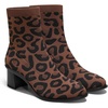 Brown Leopard